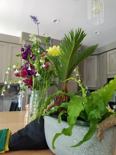 Florist «Little Shop of Flowers», reviews and photos, 2421 18th St NW, Washington, DC 20009, USA