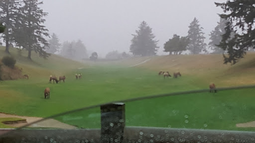 Country Club «Astoria Golf & Country Club», reviews and photos, 33445 Sunset Beach Rd, Warrenton, OR 97146, USA