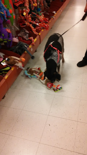 Pet Supply Store «PetSmart», reviews and photos, 320 2nd St S, Waite Park, MN 56387, USA