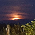 Photo n°1 de l'avis de Raffaele.u fait le 23/07/2019 à 09:02 sur le  Azienda Agricola L'Aia di Martino à Borgo San Lorenzo