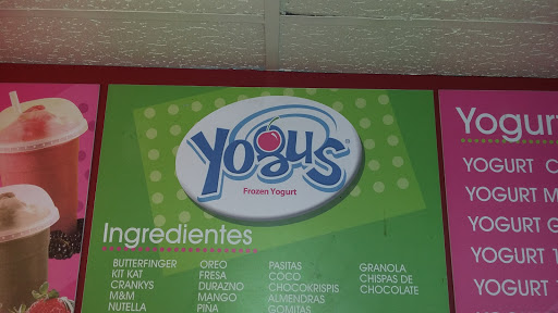 Yogus Yogurt