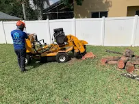 Paradise Look LLC - Car repair in , Hollywood - Rated 4.7/5