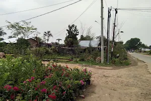 Desa Bangun Sari Baru image