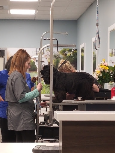 Pet Store «PetSmart», reviews and photos, 10451 Baltimore St NE, Blaine, MN 55449, USA