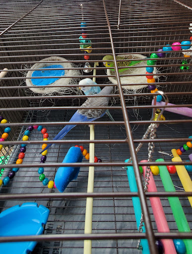 Pet Supply Store «Pet Supplies Plus», reviews and photos, 209 Towne Dr, Elizabethtown, KY 42701, USA