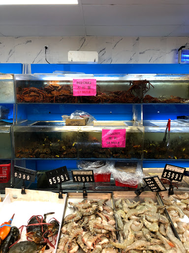 Shopping Mall «Mayfair Shopping Center», reviews and photos, 6420 Sackett St, Philadelphia, PA 19149, USA