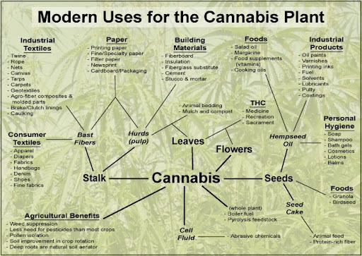 General Store «Hemptations», reviews and photos, 11353 Lebanon Rd, Sharonville, OH 45241, USA