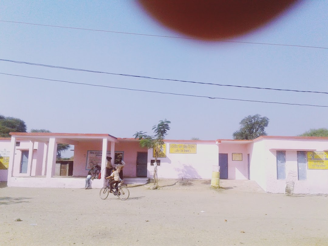 Sarkari School