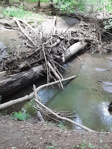 Park «Poricy Park Nature Center», reviews and photos, 345 Oak Hill Rd, Red Bank, NJ 07701, USA