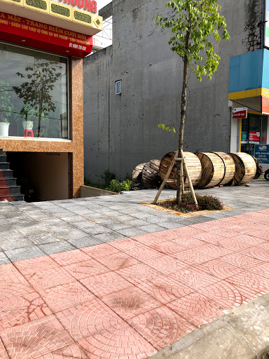 Top 20 bieern cửa hàng viettel Huyện Thái Thuỵ Thái Bình 2022