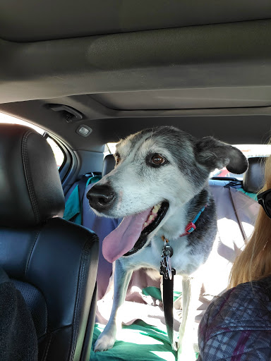 Pet Supply Store «Pet Supplies Plus», reviews and photos, 1663 Mineral Spring Ave, North Providence, RI 02904, USA