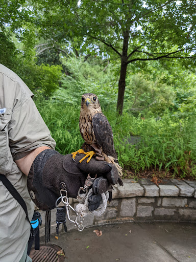Nature Preserve «Chattahoochee Nature Center», reviews and photos, 9135 Willeo Rd, Roswell, GA 30075, USA