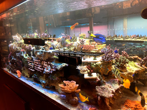 Tropical Fish Store «OceanLife Aquariums», reviews and photos, 5475 West Loop S, Houston, TX 77081, USA