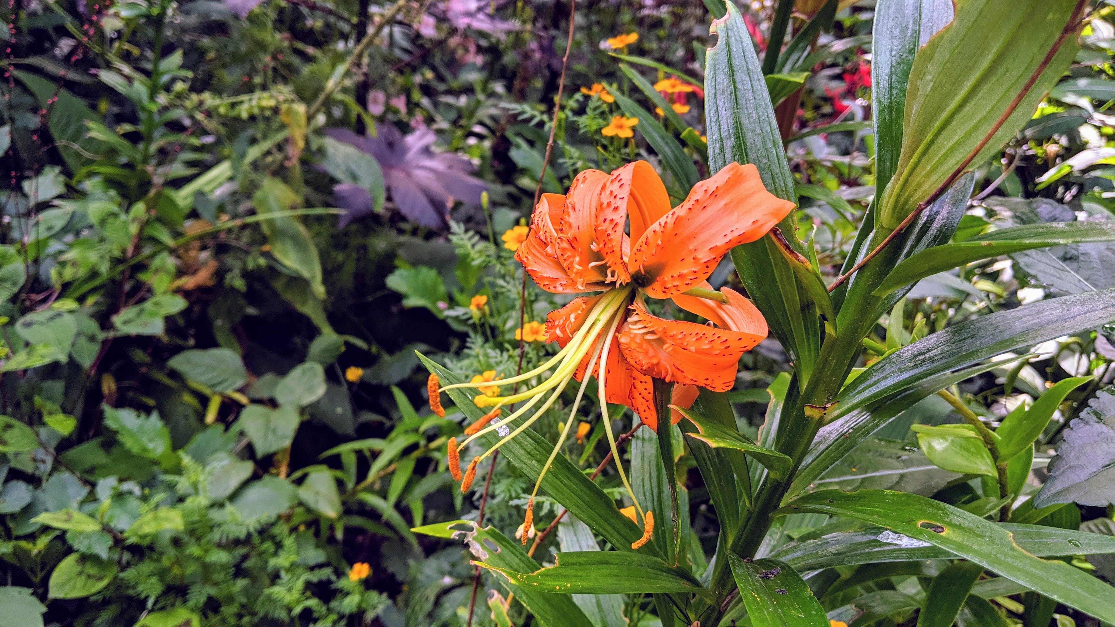 Photo n° 30 de l'avis de Tristan.a fait le 09/08/2021 à 16:22