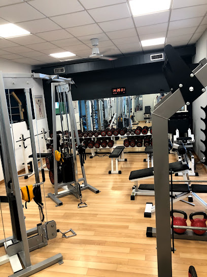 Palestra Synergym | Personal Trainer Padova - Via Gattamelata, 76/B, 35128 Padova PD, Italy