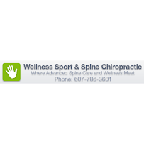 Wellness Sport & Spine Chiropractic PLLC - Photo 2 - Car repair in Vestal, NY, Binghamton