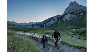 FERME DU SAUCET à Gère-Bélesten