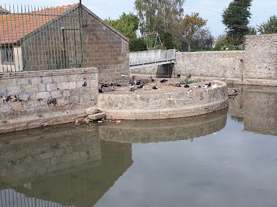 Courgousson à Aubepierre-Ozouer-le-Repos