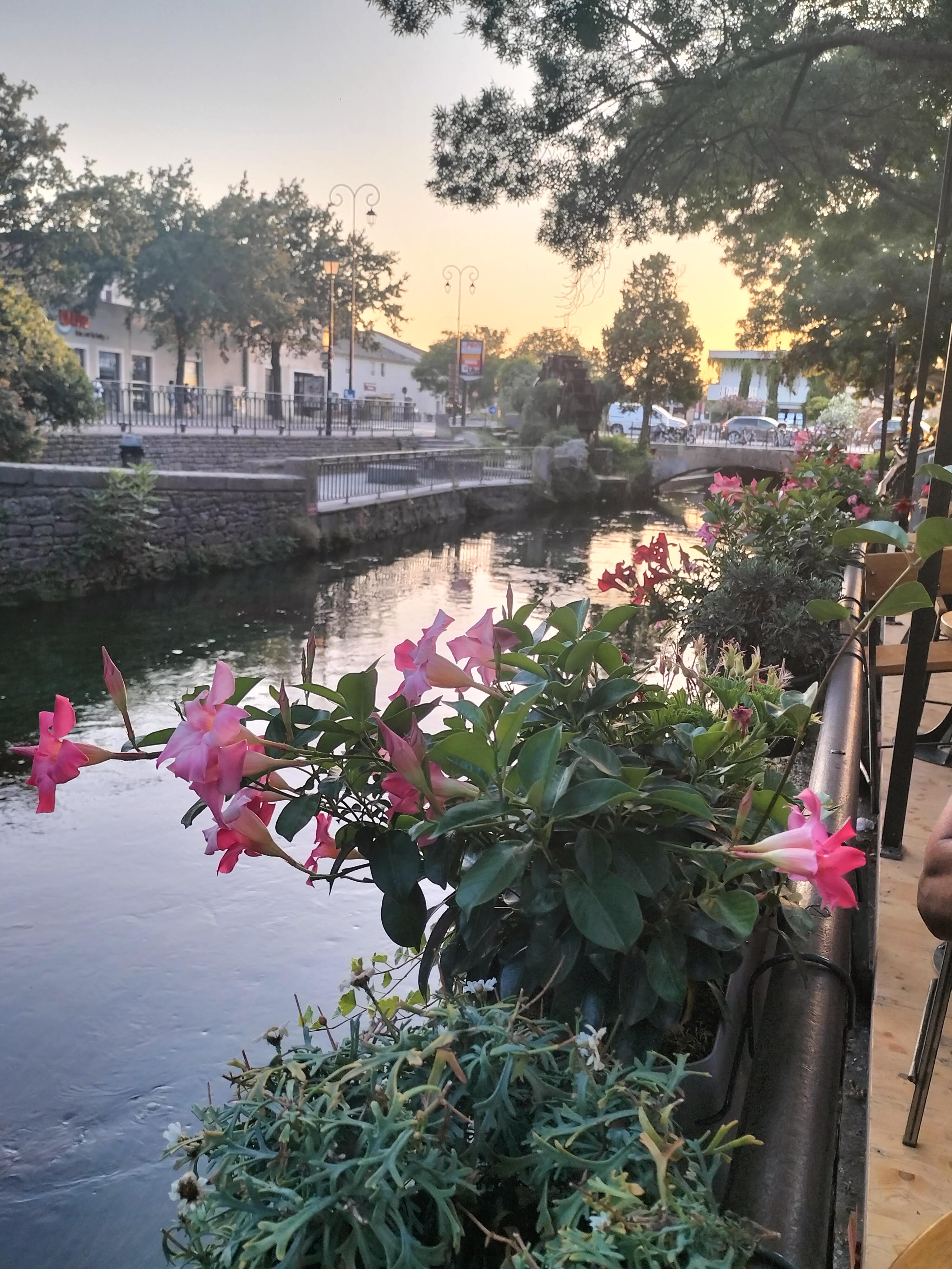 Photo n° 1 de l'avis de sgamma.a fait le 27/07/2023 à 15:15