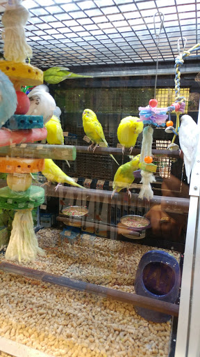 Pet Store «PetSmart», reviews and photos, 2891 Ygnacio Valley Rd, Walnut Creek, CA 94598, USA