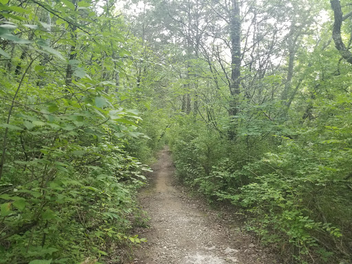 Mtn Gap Hike
