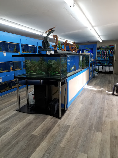 Tropical Fish Store «Aquatic Treasures/Bruces Pond Shop», reviews and photos, 20708 Gudith Rd, Brownstown Charter Twp, MI 48183, USA