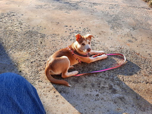 Pet Supply Store «Petsense Scottsboro», reviews and photos, 22991 John T Reid Pkwy, Scottsboro, AL 35768, USA