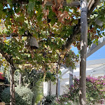 Photo n°2 de l'avis de adolfo.o fait le 17/10/2018 à 19:52 sur le  Capri Wine Hotel à Capri