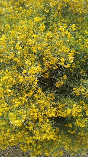 Amusement Park «CrackerJax», reviews and photos, 16001 N Scottsdale Rd, Scottsdale, AZ 85254, USA