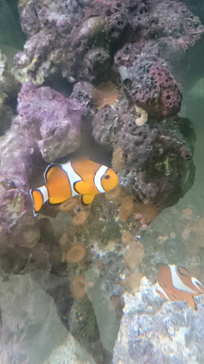 Pet Store «Pets Plus - Quakertown», reviews and photos, 117 S West End Blvd, Quakertown, PA 18951, USA