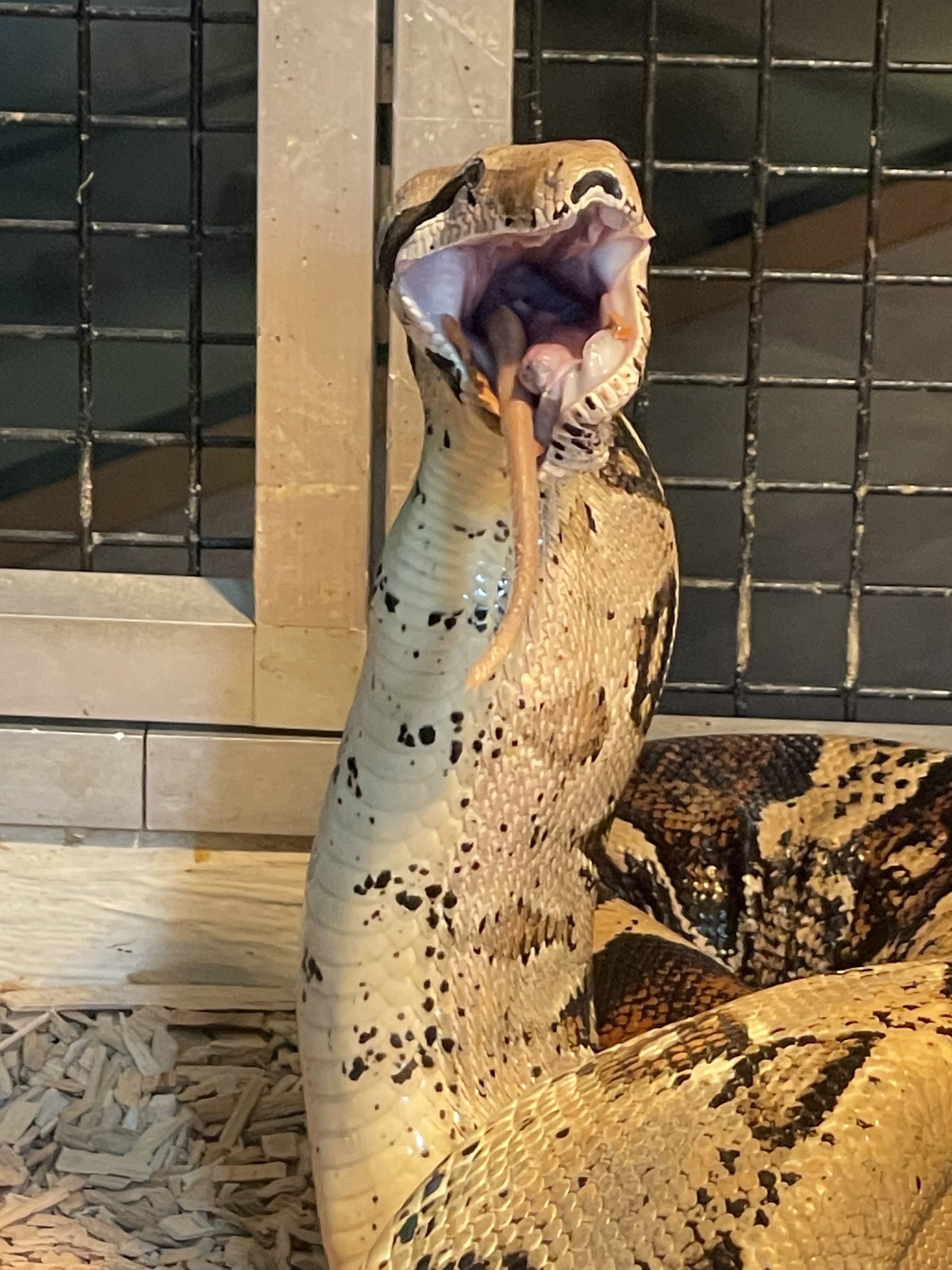 Photo n° 6 de l'avis de joel.u fait le 22/09/2021 à 14:33