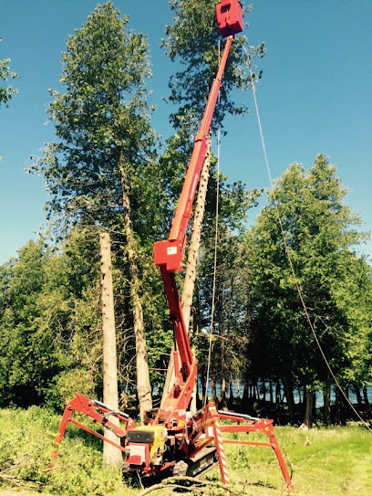 Townline Timber Services LLC
