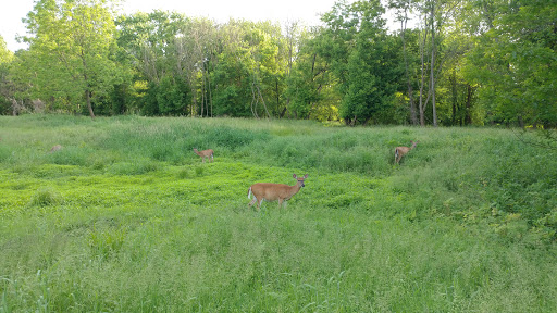 Public Golf Course «Clustered Spires Golf Club», reviews and photos, 8415 Gas House Pike, Frederick, MD 21701, USA