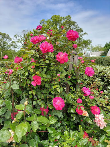 Farm «Beach Plum Farm», reviews and photos, 140 Stevens St, Cape May, NJ 08204, USA