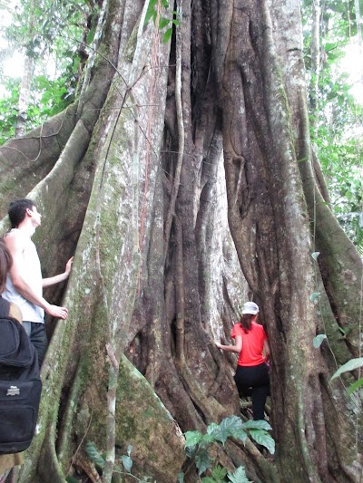 Photos of ARA Adventure River Amazonas