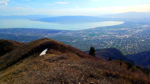 Bakery «Krispy Kreme Doughnuts», reviews and photos, 417 W University Pkwy, Orem, UT 84057, USA