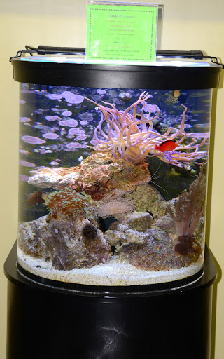 Tropical Fish Store «Life Aquatic», reviews and photos, 9 South Ave, New Canaan, CT 06840, USA