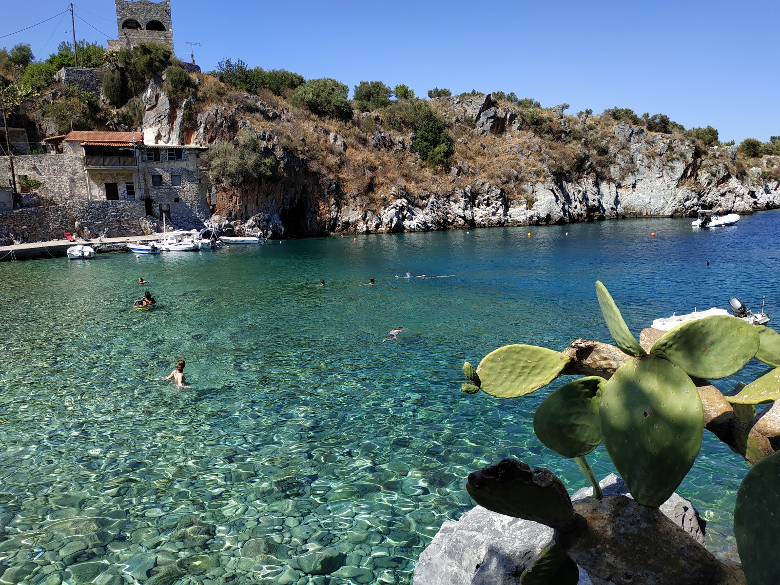 Fotografija Alypa beach divje območje