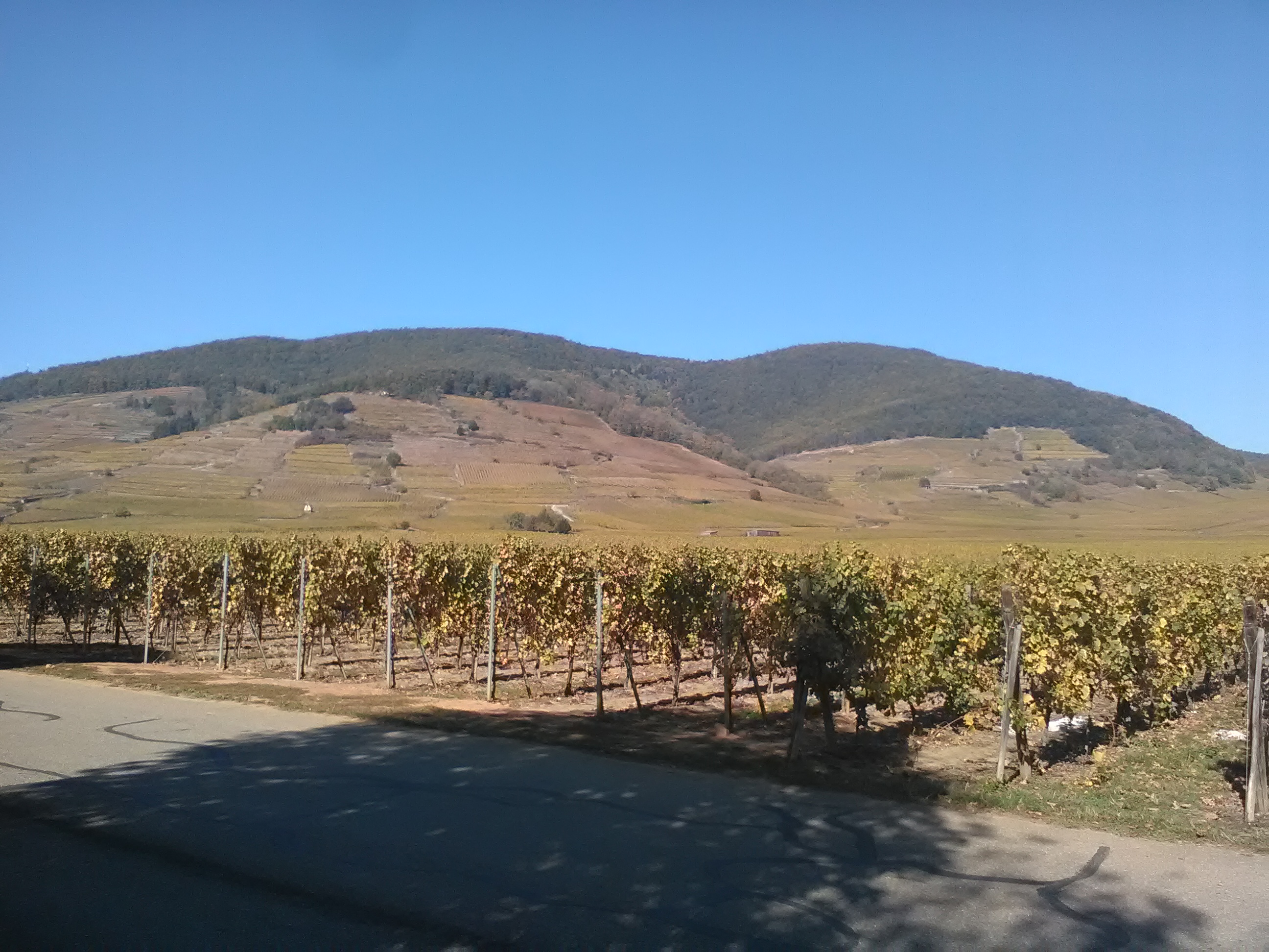 Photo n° 2 de l'avis de stephane.u fait le 15/10/2018 à 15:27