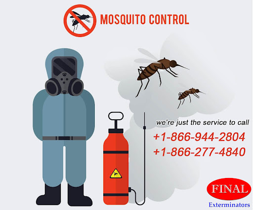 Pest Control Final Exterminators