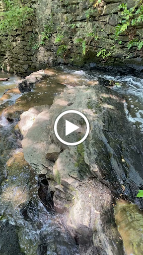 Nature Preserve «Blue Heron Nature Preserve», reviews and photos, 4055 Roswell Rd NE, Atlanta, GA 30342, USA