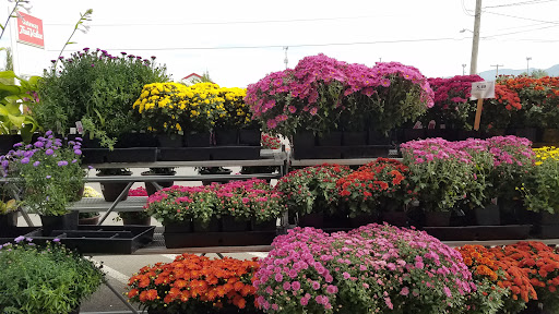 Home Improvement Store «Gateway True Value Hardware», reviews and photos, 912 Griffin Ave, Enumclaw, WA 98022, USA