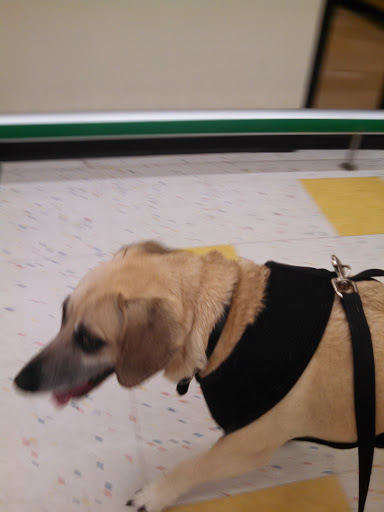 Pet Supply Store «Pet Supplies Plus», reviews and photos, 2424 W State St, Alliance, OH 44601, USA