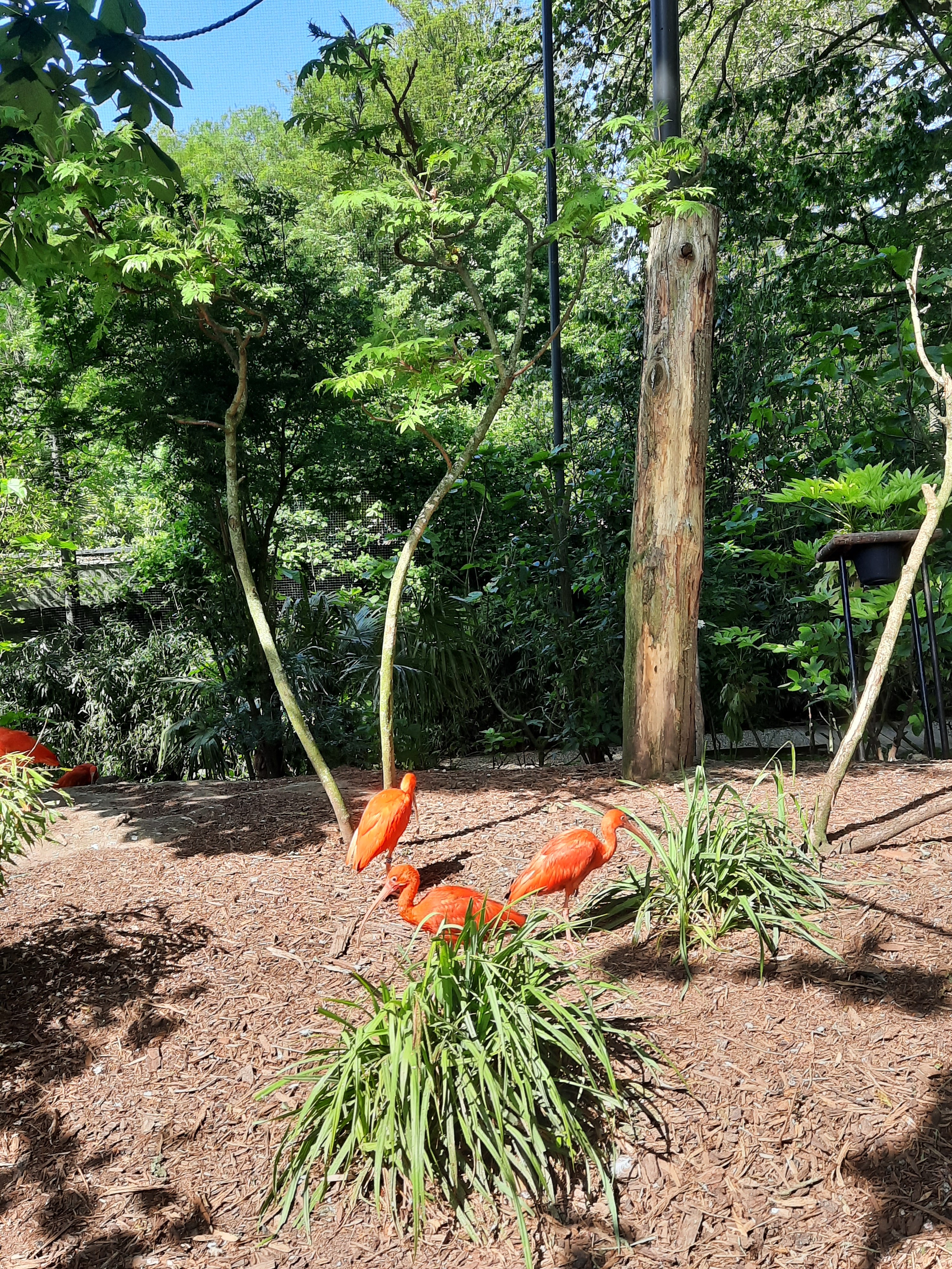 Photo n° 2 de l'avis de Gilda.i fait le 04/06/2023 à 15:22