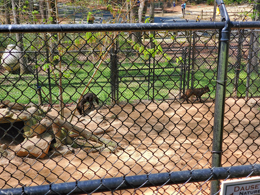 Non-Profit Organization «Dauset Trails Nature Center», reviews and photos, 360 Mt Vernon Church Rd, Jackson, GA 30233, USA