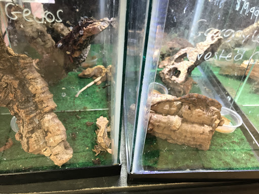 Pet Store «Animal Ark Pet Stores», reviews and photos, 33 Center St, Orem, UT 84057, USA