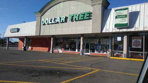 Dollar Store «Dollar Tree», reviews and photos, 3610 Oakwood, Melvindale, MI 48122, USA
