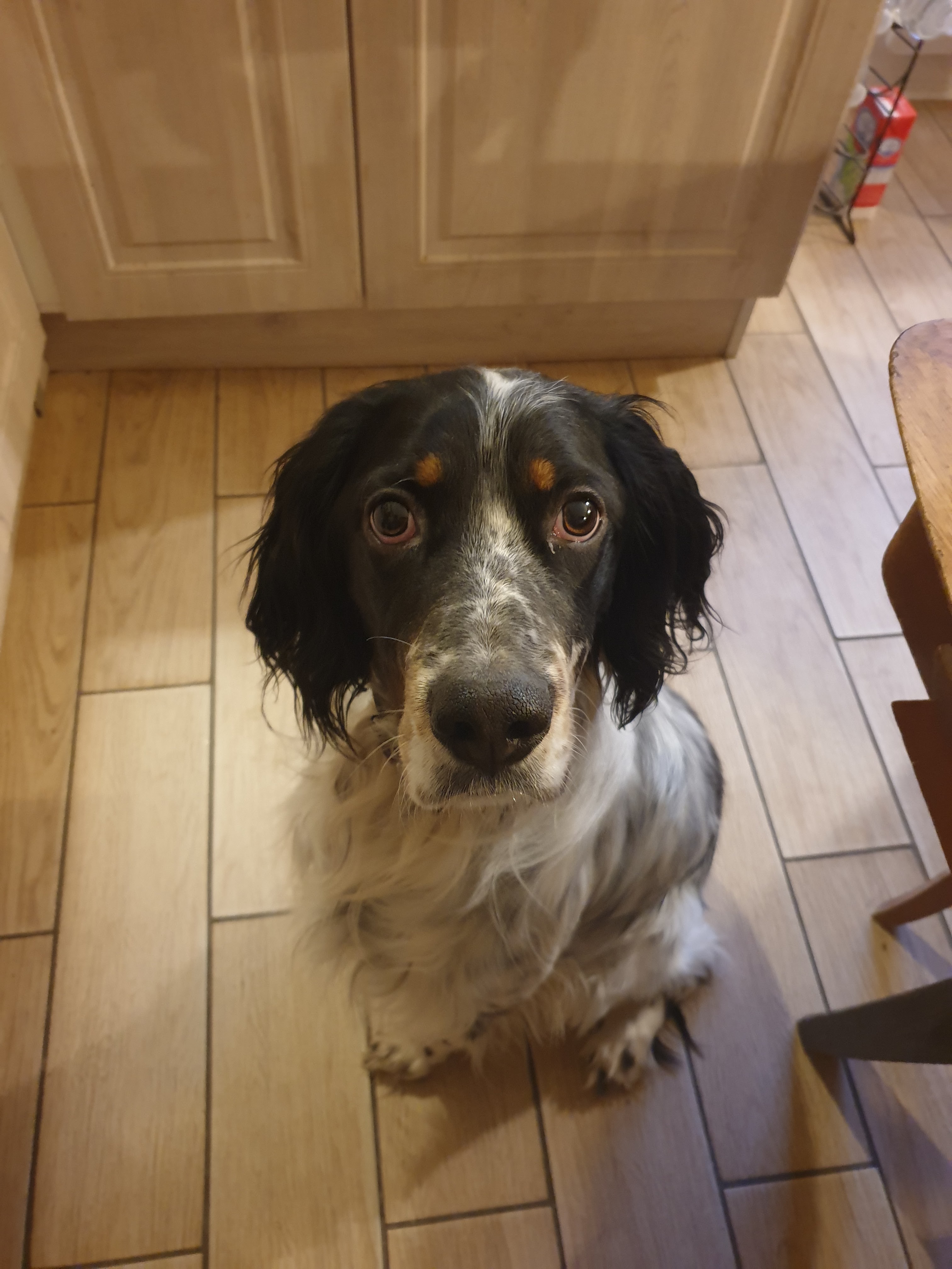 Photo n° 1 de l'avis de catherine.c fait le 18/04/2023 à 11:45