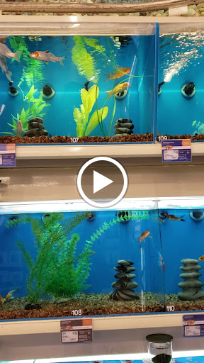 Pet Supply Store «PetSmart», reviews and photos, 367 Mt Hope Ave, Rockaway, NJ 07866, USA