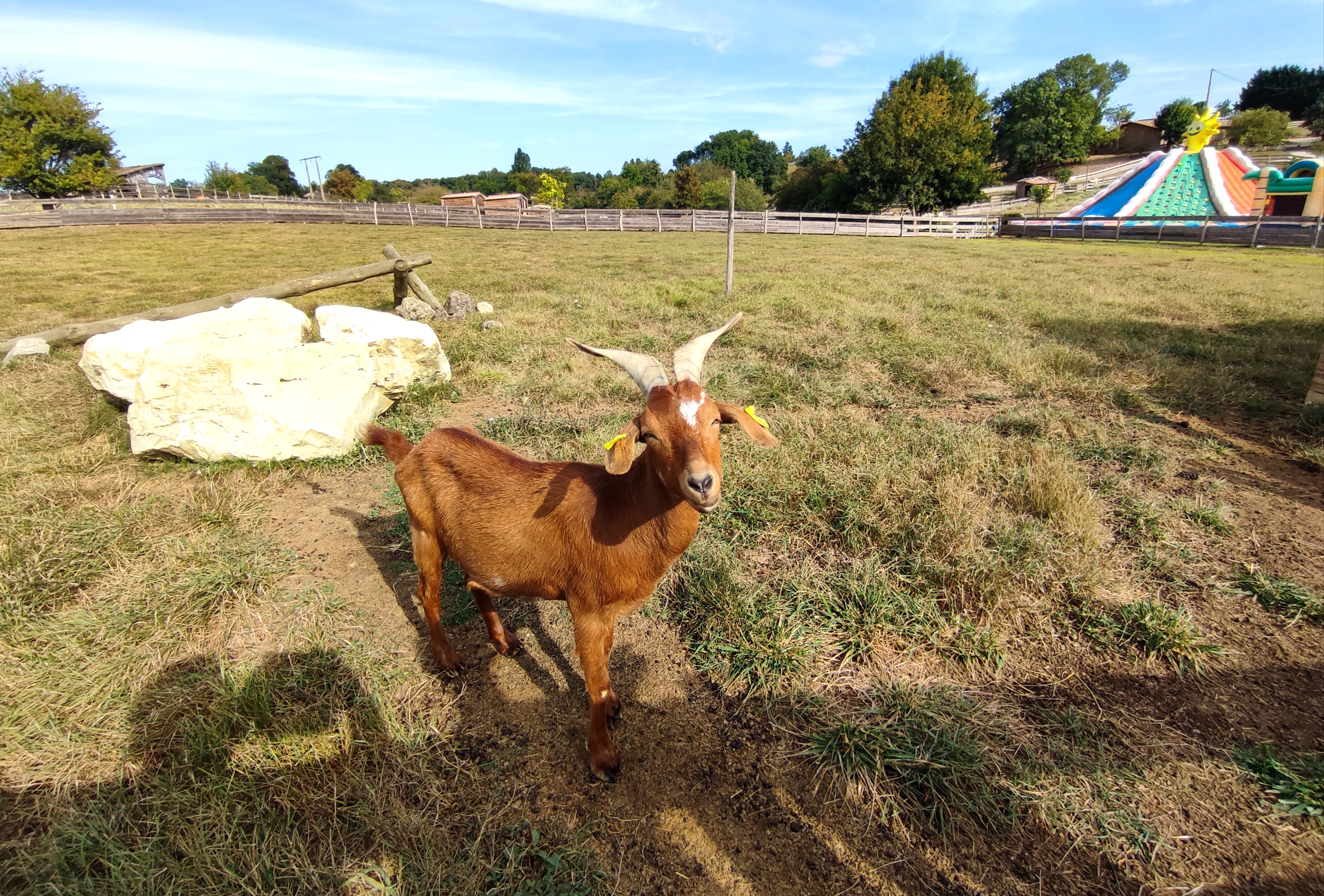 Photo n° 15 de l'avis de Nelly.. fait le 17/08/2023 à 07:56